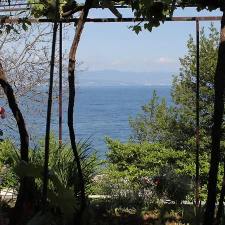 Double Medveja 7775b 3*