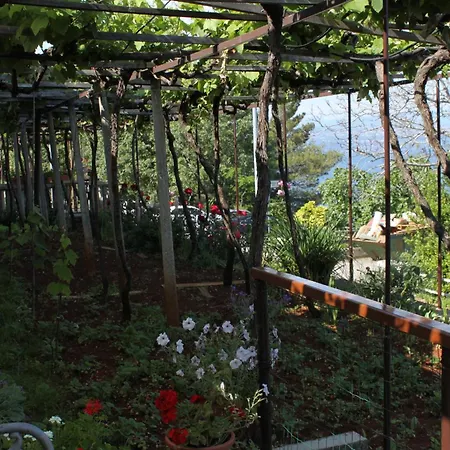 Casa de hóspedes Double Medveja 7775b 3*