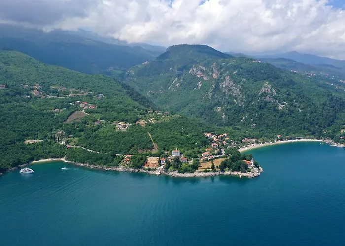 Double Medveja 7775b 3*