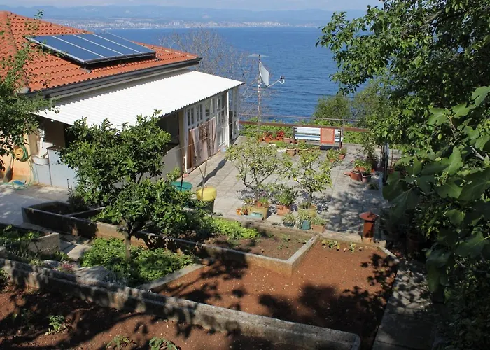 Double Medveja 7775b Laurana