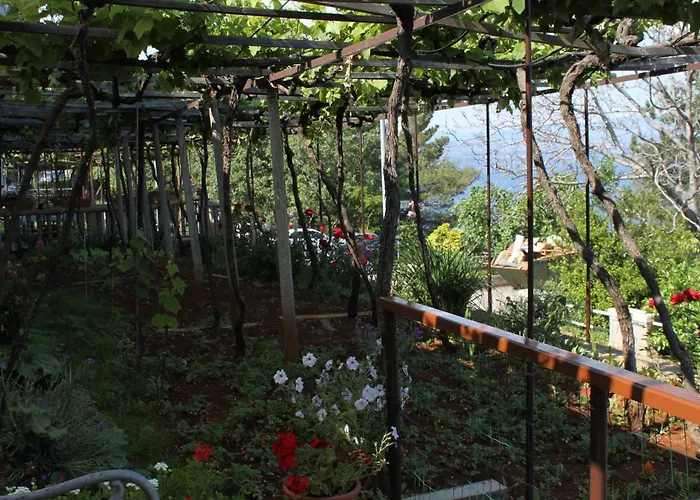 Affittacamere Double Medveja 7775b 3*