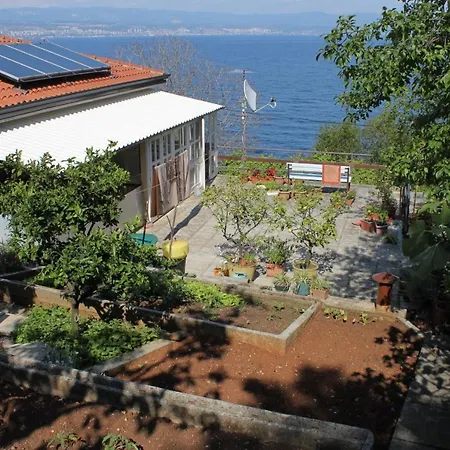 Double Medveja 7775b Laurana